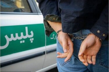 موبایل قاپ ۱۸ ساله در خیابان آزادی دستگیر شد