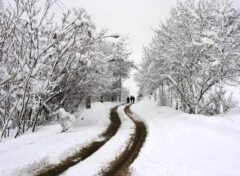 بارش برف و باران در ۲۷ استان کشور