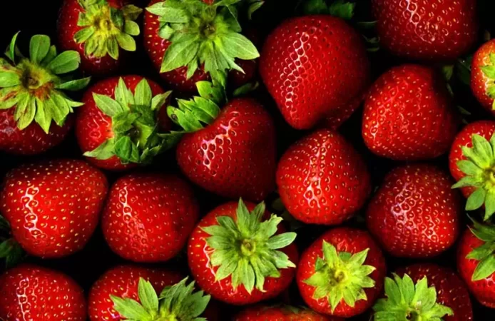 چرا بعضی توت فرنگی‌ها خوشمزه تر هستند؟