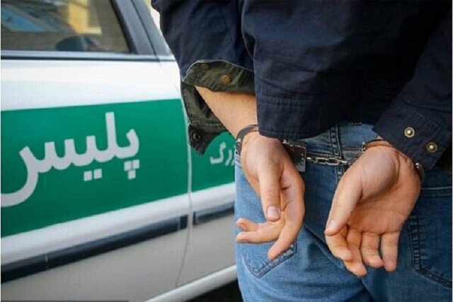 موبایل قاپ ۱۸ ساله در خیابان آزادی دستگیر شد