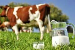 ناسازگاری شیر با مصرف این خوراکی ها